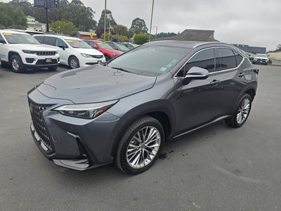 2022 Lexus NX NX 350 Luxury