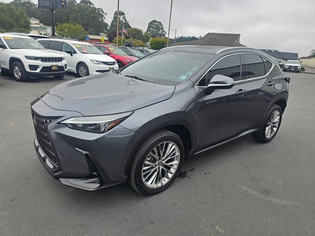 2022 Lexus NX NX 350 Luxury