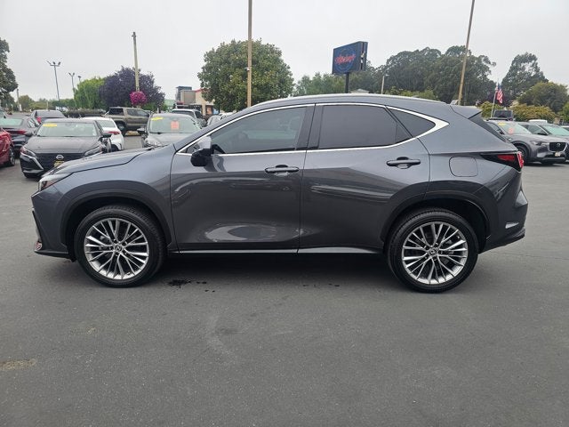 2022 Lexus NX NX 350 Luxury