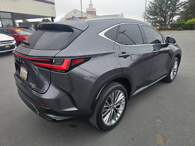 2022 Lexus NX NX 350 Luxury